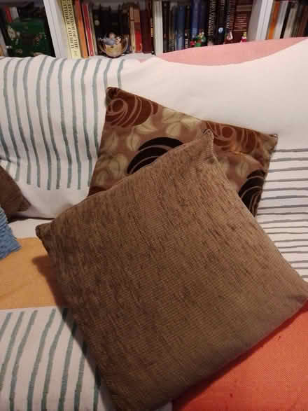 Photo of free 2 Large cushions (Bidston Moss CH43) #1