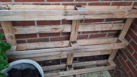 Photo of free Wooden pallet (Maybury Hill GU22) #1
