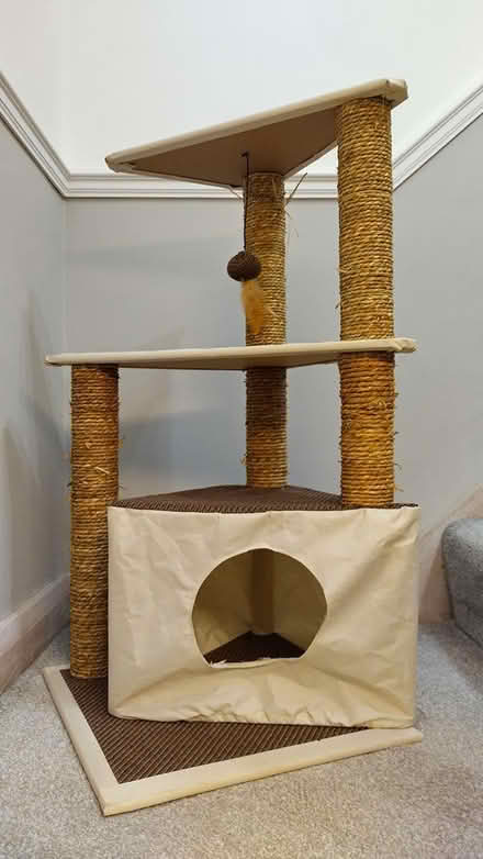 Photo of free Cat scratching post (Newbury Racecourse RG14) #1