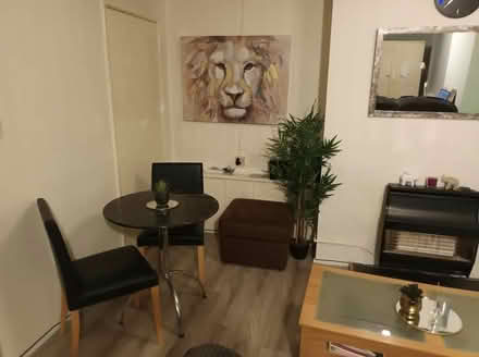 Photo of free Mirror, Coffee Table, plant, fridge (WR4) #3