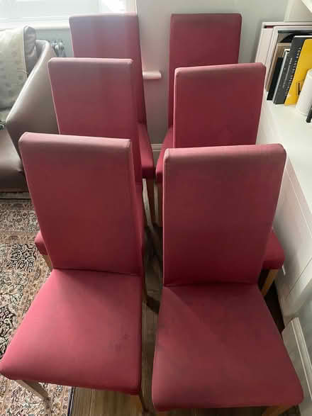 Photo of free 6 dining room chairs (Barnes SW13) #3