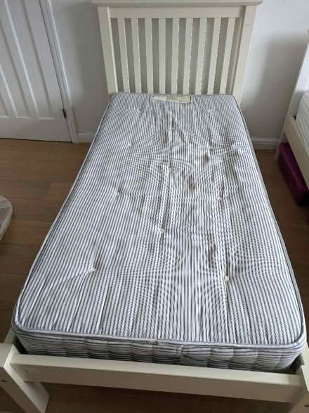 Photo of free Single bed (Bounds Green N11) #1