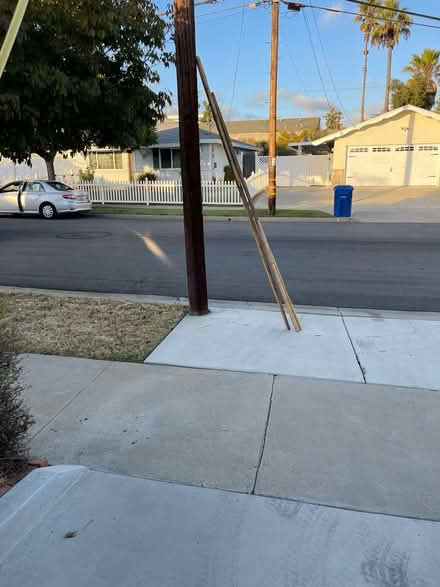 Photo of free Bambo (Near Mission and Mesa Dr) #2
