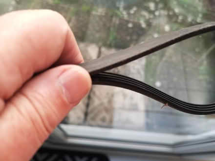 Photo of free Drive belt, possibly alternator for Peugeot 206. (Moreton CH46) #2