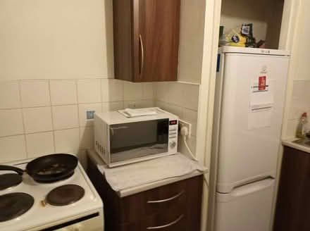 Photo of free Mirror, Coffee Table, plant, fridge (WR4) #4