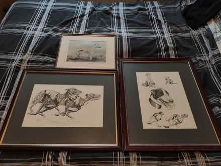 Photo of free 3 x Framed Whippet Pictures (Thorney Leys OX28) #1