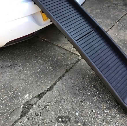 Photo of Dog ramp (Barnby NR34) #1