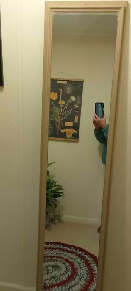 Photo of free Two Mirrors (Bromyard HR7) #2