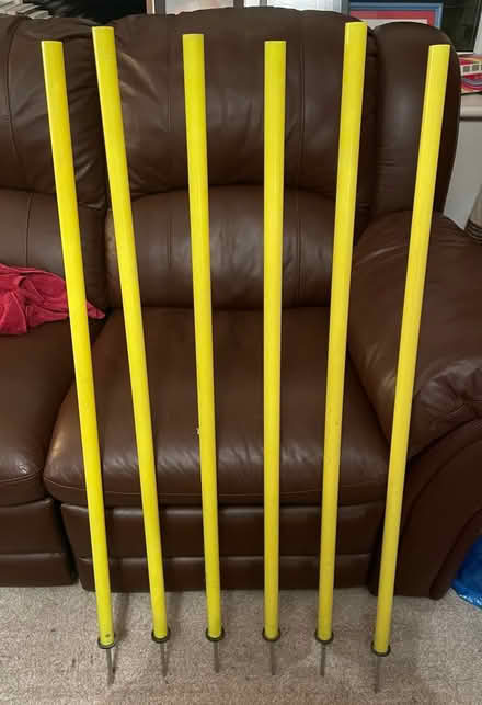 Photo of free 6x Slalom Poles (Chesham) #1