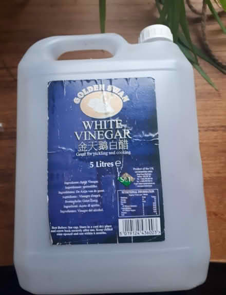 Photo of free 5L Bottle (Eastbourne) #1