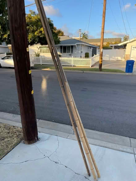 Photo of free Bambo (Near Mission and Mesa Dr) #1