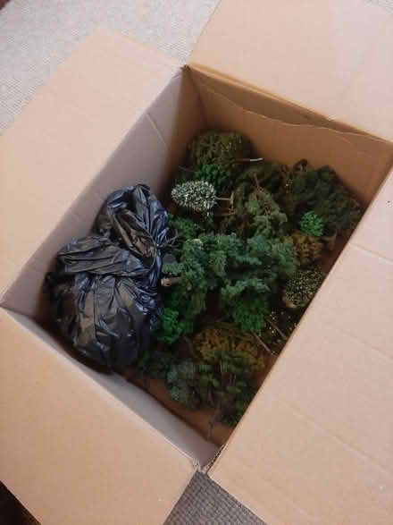Photo of free Box of model trees (OX3 sandhills) #1