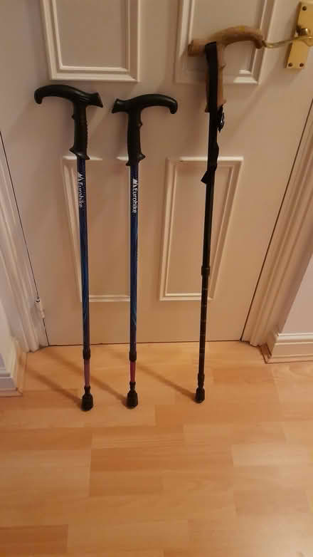 Photo of free 3 Walking poles (Whalley range) #1