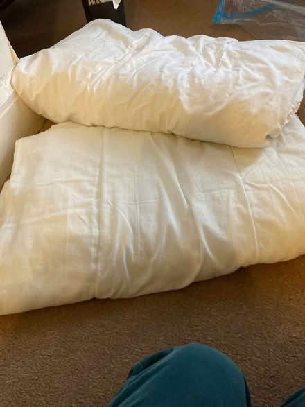 Photo of free Duvets for toddler bed (Dawlish warren) #2
