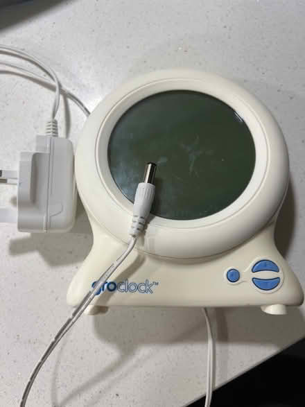 Photo of Gro clock (PE28) #3