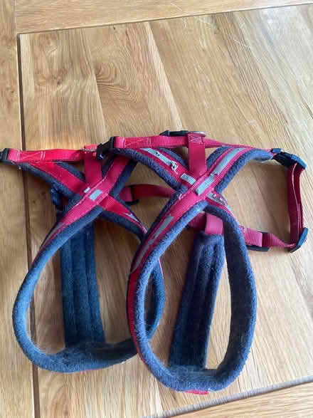 Photo of free Dog harness (Leighton Buzzard) #1