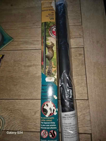 Photo of free Squirrel slinky (Whitfield DD4) #1