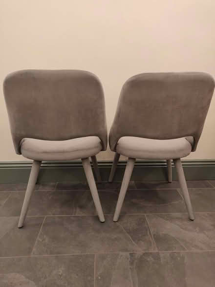 Photo of free Two Blue-Grey plush covered chairs (Hornsey N8) #3