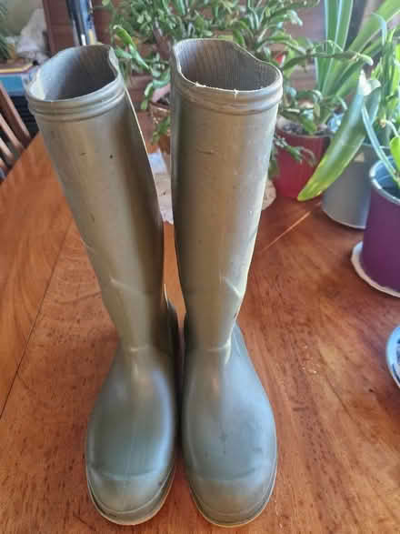 Photo of free Wellies. (Castor) #1
