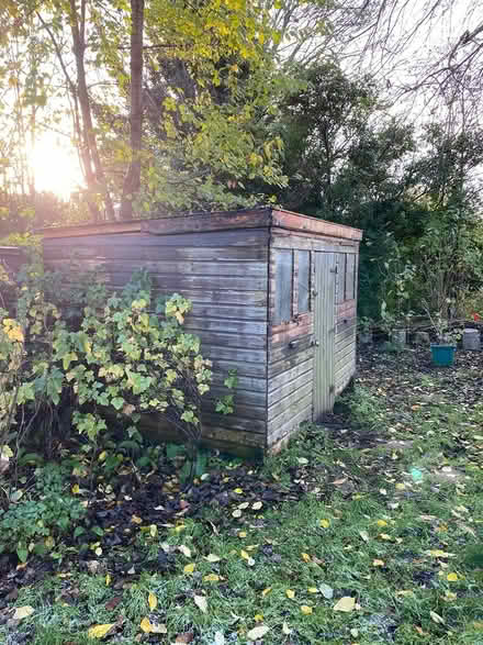 Photo of free Old shed (L19) #1