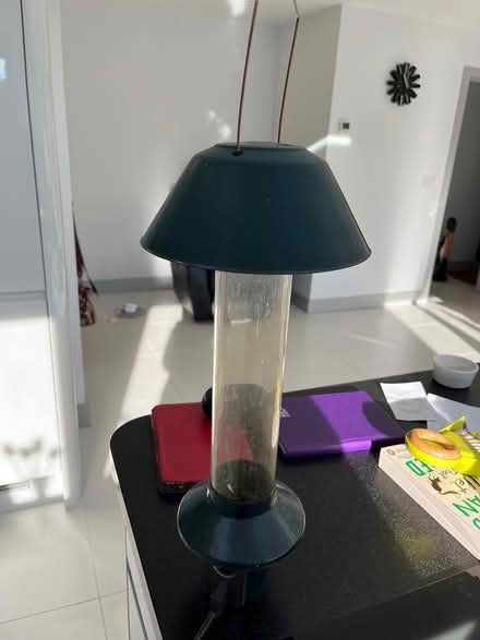 Photo of free Squirrel proof bird feeder (SS12 Wickford) #1