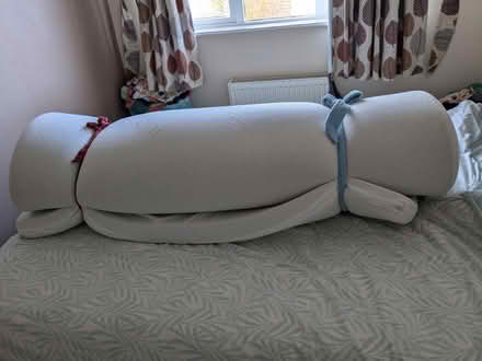 Photo of free Memory foam mattress topper, King (Bristol North / Stoke Gifford) #2