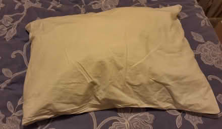 Photo of free Pillow & white pillowcase (South Acton) #1