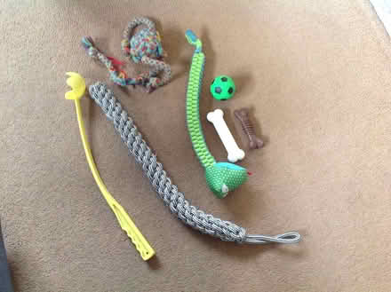 Photo of free Dog Toys (Bedhampton PO9) #1