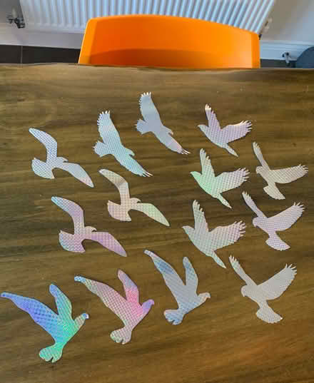 Photo of free Window Bird Stickers (Market Harborough LE16) #1