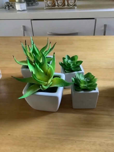 Photo of free Candles, artificial plants and other bits! (Oxton Village CH42) #2