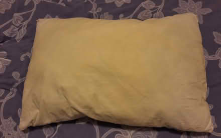 Photo of free Pillow & white pillowcase (South Acton) #2