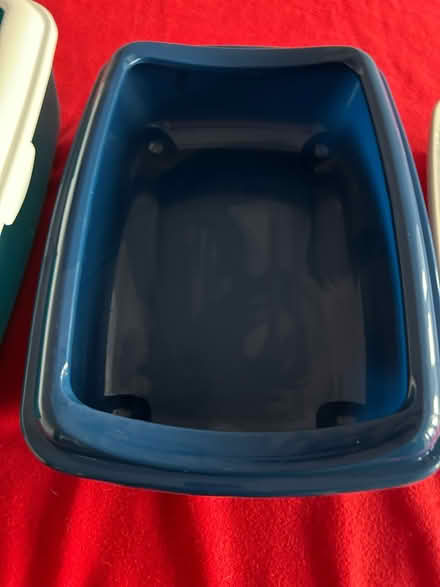 Photo of free 3 cat litter trays (NG17 Ashfield Freegle) #2