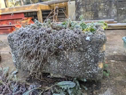 Photo of free Old Butler Sink Planters (Weston Park) #4