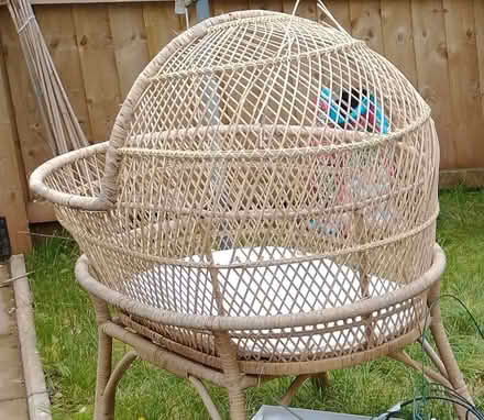 Photo of free A large Moses basket (Roundham TQ4) #1