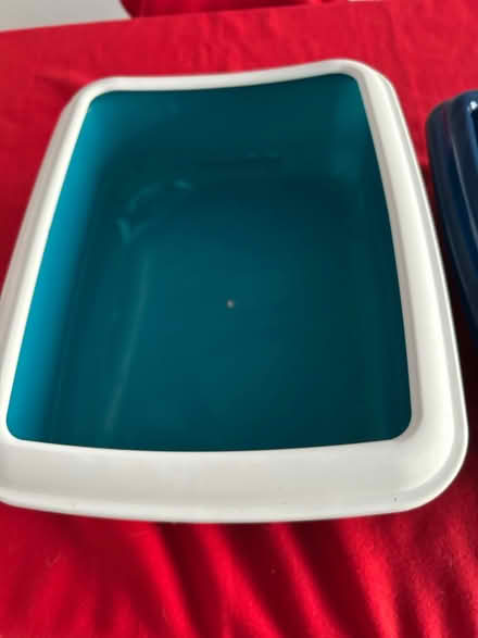 Photo of free 3 cat litter trays (NG17 Ashfield Freegle) #3