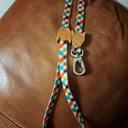 Photo of free Cat leads (Bowerham LA1) #1