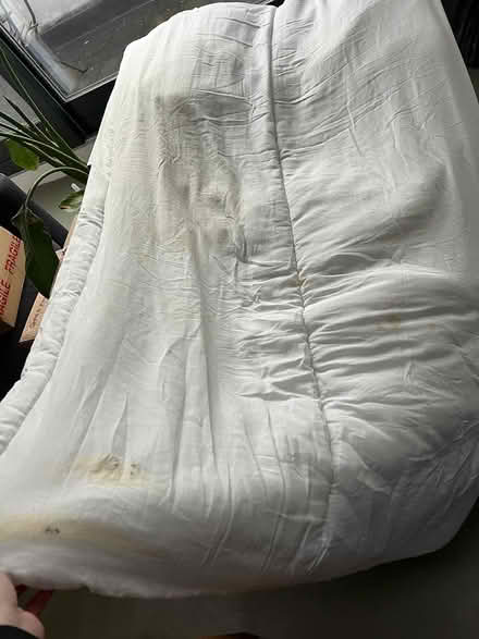 Photo of free Fogarty Double Duvet 13.5 Tog (Caledonian Road, Islington N1) #2
