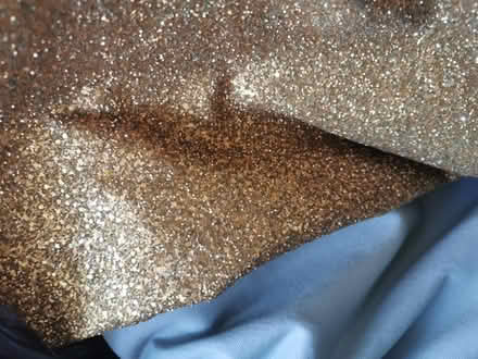 Photo of free Gold Glitter Fabric (Turnpike Lane N22) #3