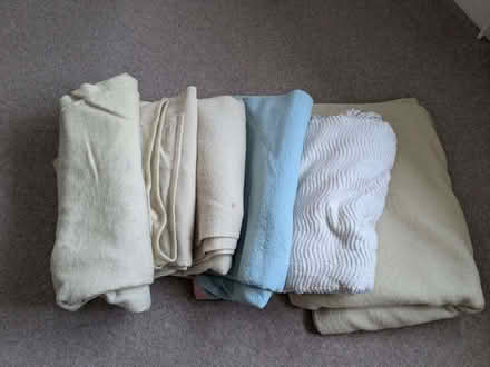 Photo of free 6 Old Blankets (Bengeo SG14) #1
