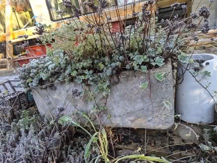 Photo of free Old Butler Sink Planters (Weston Park) #2