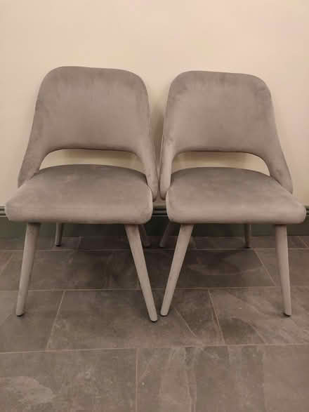 Photo of free Two Blue-Grey plush covered chairs (Hornsey N8) #1