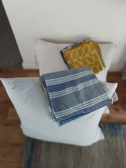 Photo of free Two large cushions (Shurdington GL51) #1