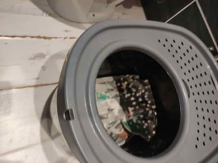 Photo of free Cat Toilet (CT9) #2