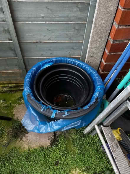 Photo of free Assortment of plant pots (OL6, Ashton under Lyne) #1