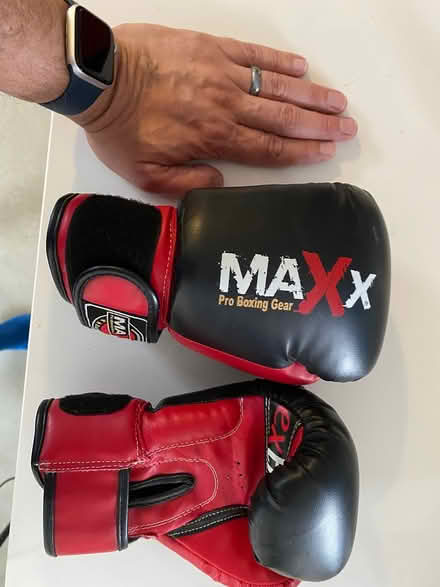 Photo of free KIDS boxing gloves (Twickenham TW1) #1