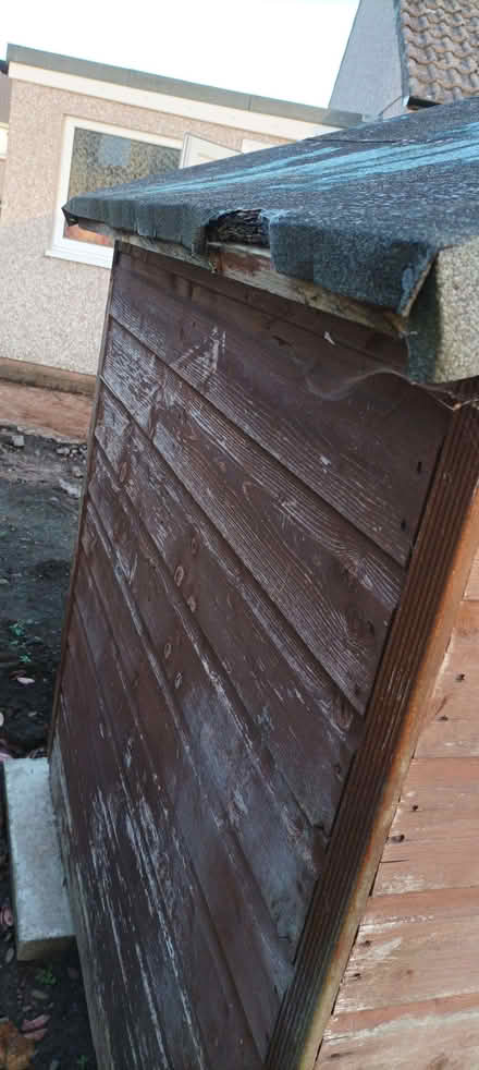Photo of free Shed/playhouse (Penrith CA11) #1