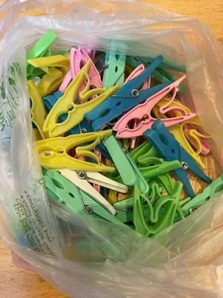 Photo of free Clothes pegs (Widcombe) #1