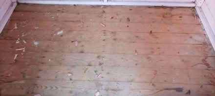 Photo of free Shed/playhouse (Penrith CA11) #3