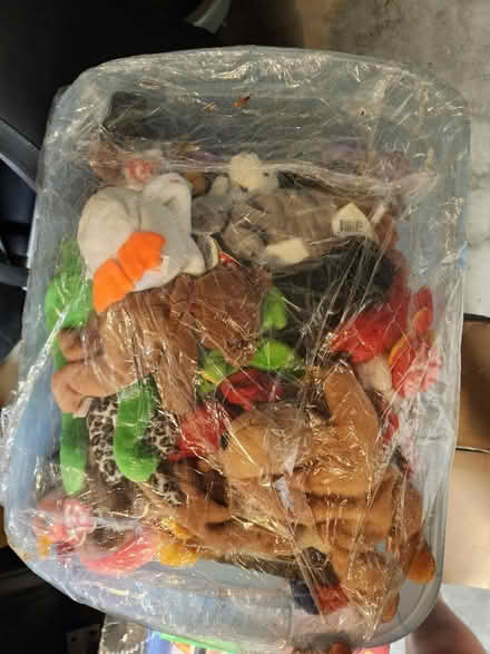 Photo of free Tub of beanie babies (Towne Lake park) #1