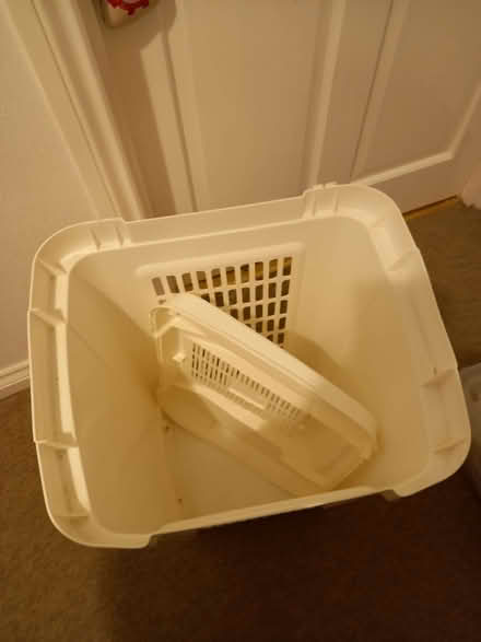 Photo of free Washing basket (Kirkliston EH29) #1